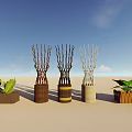 Bonsai Potted Plants In Decorative Planters With Twig Branches And Green Foliage