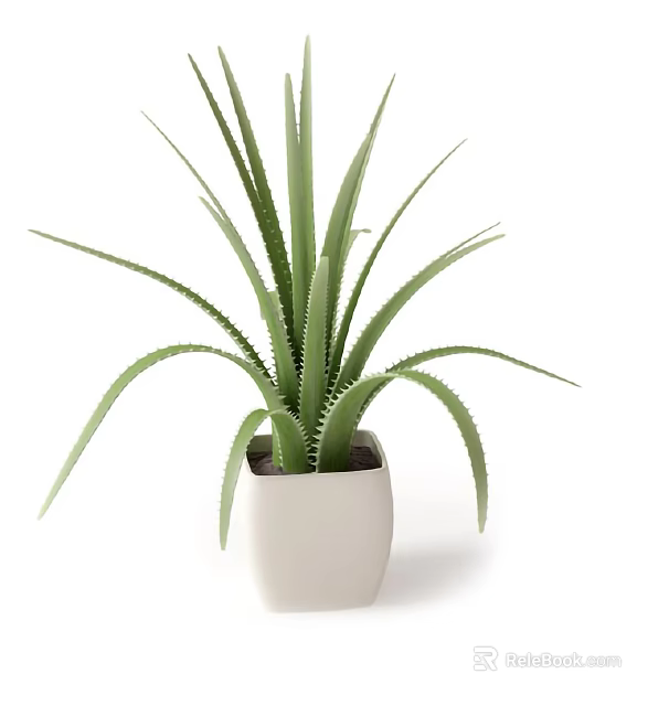 Green Leafy Potted Plant with Serrated Long Leaves in White Square Pot 3d model 