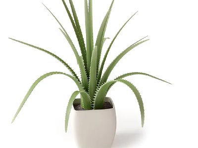 Green Leafy Potted Plant with Serrated Long Leaves in White Square Pot 3d model