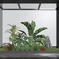 White Wall Indoor Plant Landscape With Large Leaf Mixed Greenery Stone And Skylight
