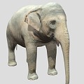 Elephant Elephant Chinese Elephant Asian Elephant African Elephant 3d model