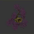 Single Tree With Purple Flowers Thick Trunk And Exposed Roots On Dark Background