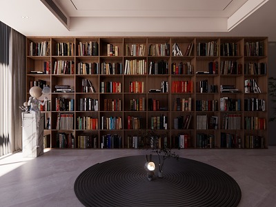 Modern bookshelf floor-type model