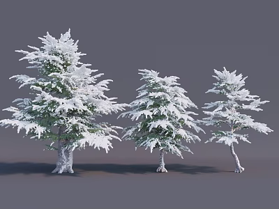 Snow Covered Pine Trees of Various Sizes Standing Against Gray Background 3d model