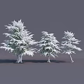 Snow Covered Pine Trees of Various Sizes Standing Against Gray Background