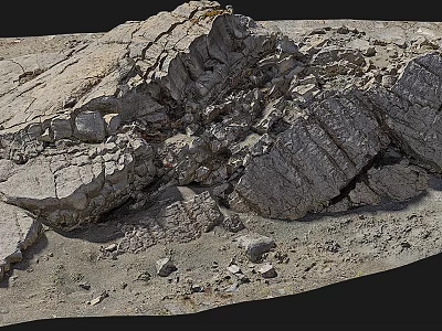 Natural Stone And Wood Material With Rough Texture And Natural Surface Details 3d model