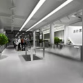 Modern Clothing Store Interior With Mannequins Displaying Stylish Outfits On Concrete Platforms And Bright Lighting