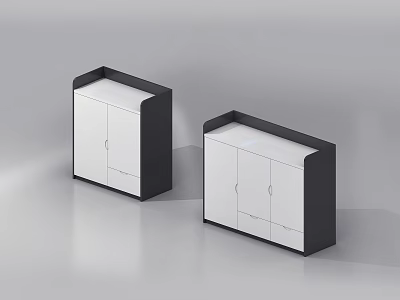 Modern Entryway Cabinet and Side Cabinet with Sleek Design Storage Doors and Black White Finish 3d model