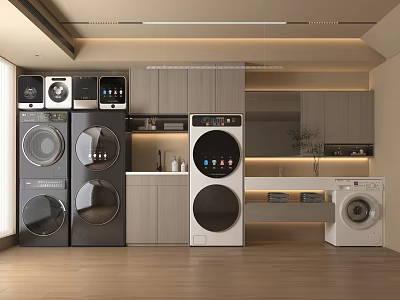 Stacked and Standalone Washing Machines in Modern Laundry Room with Gray White Cabinetry and Lighting 3d model