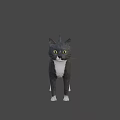 Gray And White Cat With Yellow Eyes In Standing Alert Stance