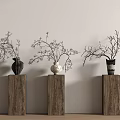 Minimalist Floral Display With Twig Plants In Vases On Wooden Pedestals Natural Decor