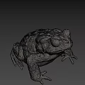 Gray Frog Sculpture 3D Model With Textured Surface And Lifelike Pose
