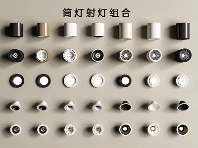 Downlights and Spotlights Combination with Various Designs Colors and Modern Styles 3d model