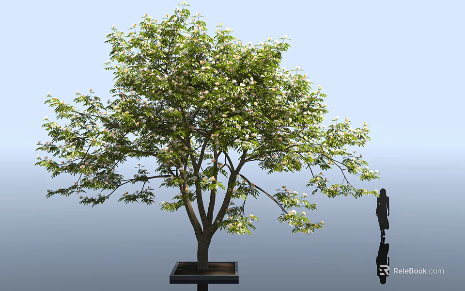 Lush Green Leafy Arbor With White Flowers And Person Standing Beside Light Blue Background 3d model 