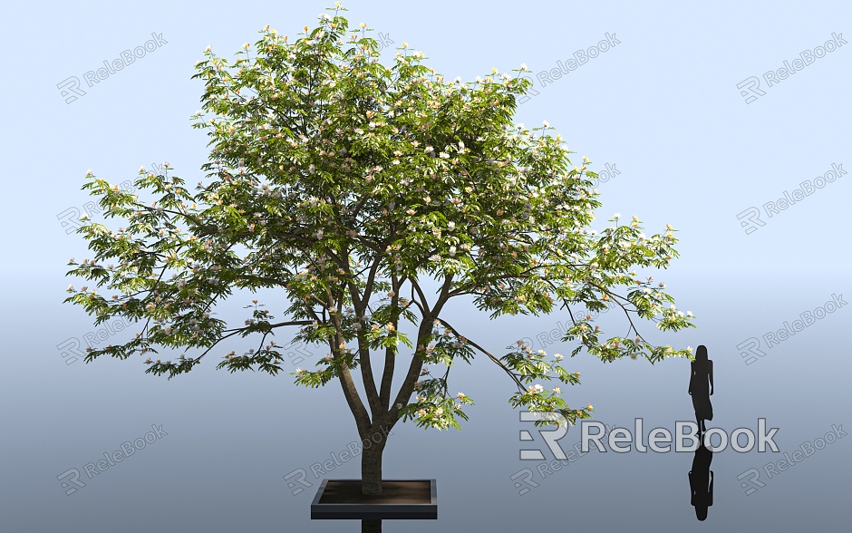 Persian acacia tree acacia tree tree street tree city greening greening plant tree garden park gardening ring art forest decoration ornament tree model