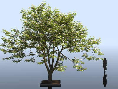 Lush Green Leafy Arbor With White Flowers And Person Standing Beside Light Blue Background 3d model