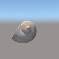 Aquatic Animal Seashells Open And Closed With Spiral Design And Smooth Surface 3d model