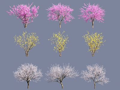 flowering small tree wild peach plum cherry blossom wintersweet tree 3d model