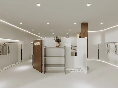 Modern Clothing Store Interior With White Space Wooden Shelves Potted Plant And Hanging Clothes 3d model