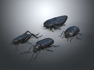 Four Black Beetles With Shiny Exoskeletons On Gray Background Detailed 3d model