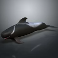 Realistic 3D Rendered Orca Whale in Swimming Pose with Open Mouth on Gray Background