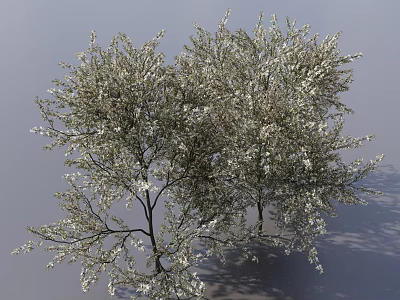 Lush Flowering Shrubs With White Blooms Green Leaves And Natural Branches 3d model