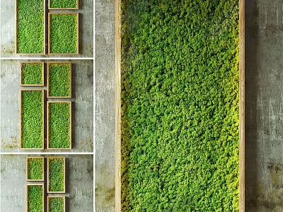Modern Natural Living Plant Wall With Green Moss And Wooden Frame On Concrete Wall 3d model