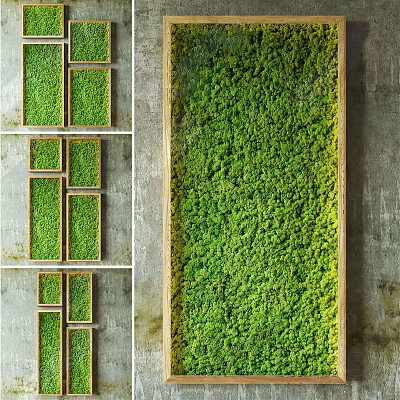 Modern Natural Living Plant Wall With Green Moss And Wooden Frame On Concrete Wall 3d model