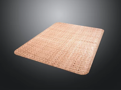 Light Brown Woven Floor Mat for Home Indoor Use with Textured Pattern 3d model