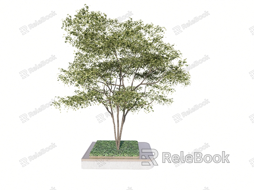 Landscape Tree Tree Pool Street Trees model