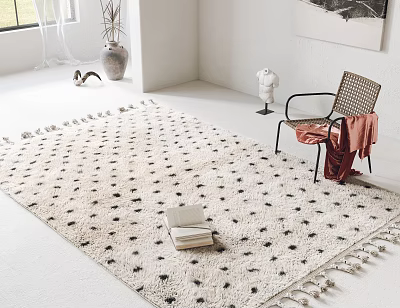 Square Dotted Rug With Tassels In Bright Minimalist Living Room 3d model