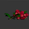 Fresh Plant Branch with Vibrant Red Berries and Lush Green Leaves