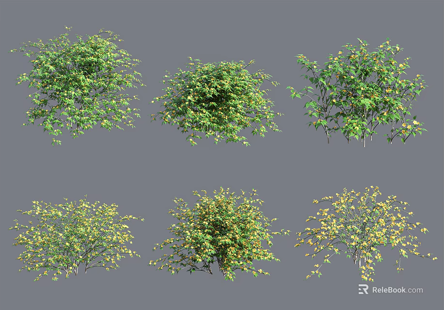 Diverse Green Shrubs with Yellow Accents and Various Growth Forms 3d model 