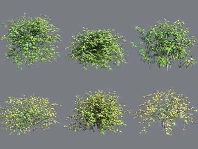 Diverse Green Shrubs with Yellow Accents and Various Growth Forms 3d model