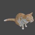 Playful Orange and White Cat Sitting with Tongue Out as Game and Movie Character