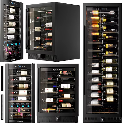 Various Wine Cooler Designs With Glass Doors And Black Wine Storage Racks 3d model