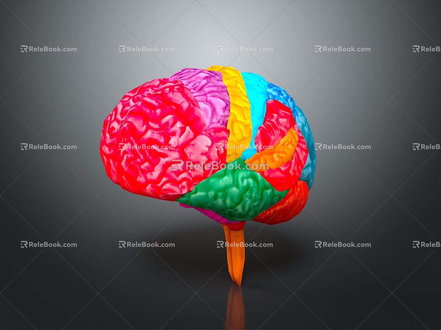 Human Brain Human Brain Brain Structure Head Planer Face Human Head Planer Face Human Brain Planer Face Structure 3d model