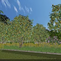 Lush Garden Landscape With Orange Trees Palm Trees Colorful Flowers And Green Lawn