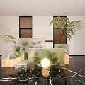 Various Green Plants And Flowers In Modern Interior With Transparent And Marble Containers