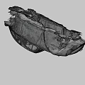 The Destroyed Beetle 3d model