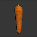 Fresh Orange Carrot with Natural Texture Isolated on Dark Background 3d model