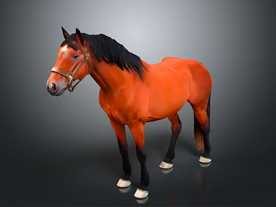 Brown Horse With Black Mane Wearing Bridle Standing Against Gray Background 3d model