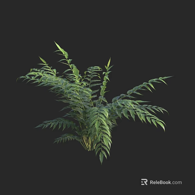 Lush Green Plant With Vibrant Fresh Leaves Isolated On Black Background 3d model 