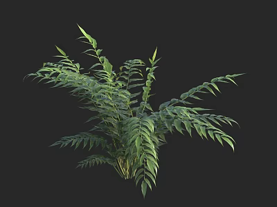 Lush Green Plant With Vibrant Fresh Leaves Isolated On Black Background 3d model