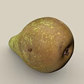 pear scan pear big duck pear fruit 3d model