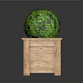 Green Round Topiary Plant In Wooden Square Decorative Planter Box