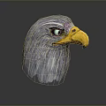 Detailed Gray Feathered Eagle Head 3D Render With Yellow Beak Green Eyes And Gradient Background 3d model