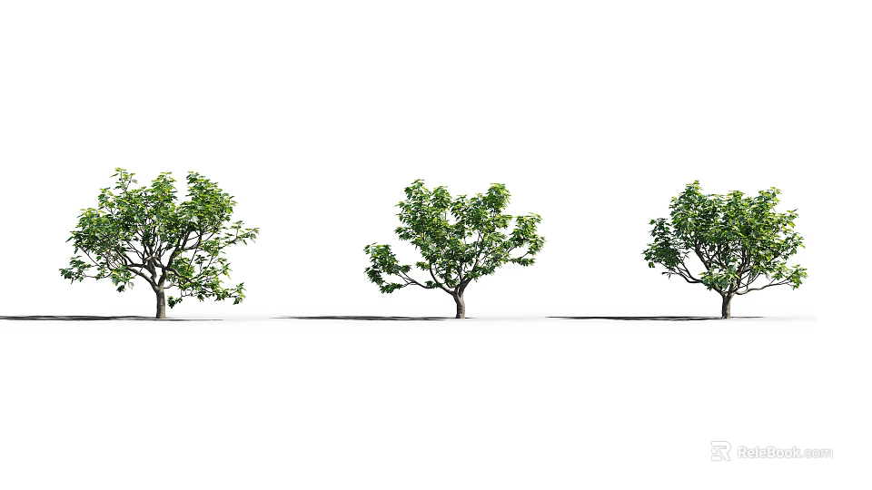 Three Green Leafy Trees With Straight Trunks And Natural Canopy Shapes 3d model