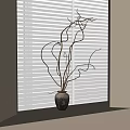 Ceramic Vase With Curved Branches On Window Sill Against White Blinds 3d model