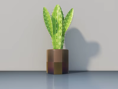 Modern Cactus Bonsai Potted Plant In Brown And Gold Square Pot On Smooth Gray Tabletop 3d model